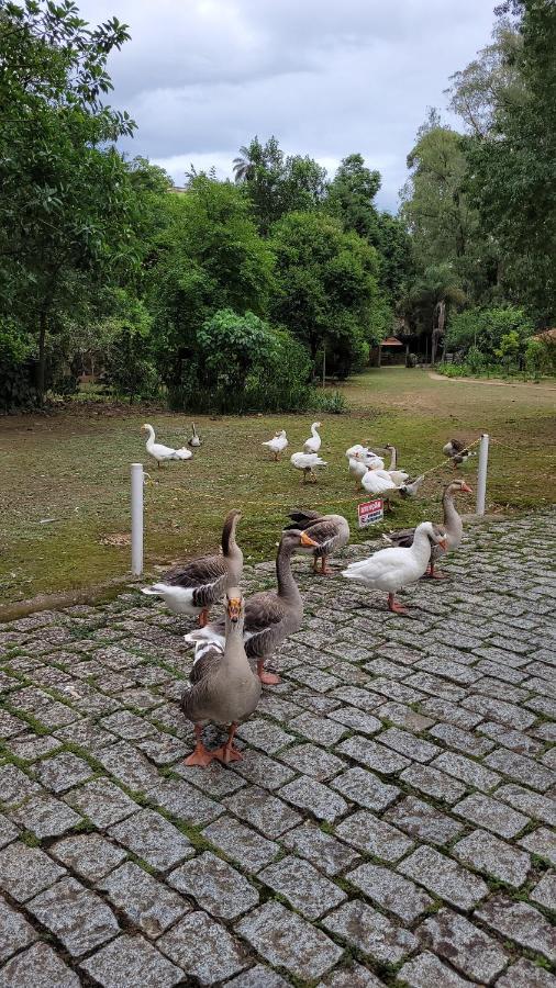 Apartamento Na águas Sulfurosas *
